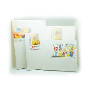 GENII Canvas Stretched - 3/4"x10"x14" 1.7cm x 25cm x 35cm (Back Stapled) BS171014